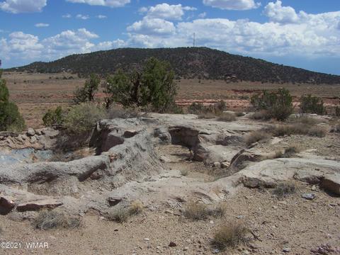 9181 E Concho Hwy, Snowflake, AZ 85937 photo 5