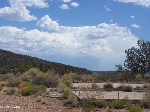9181 E Concho Hwy, Snowflake, AZ 85937 photo 3