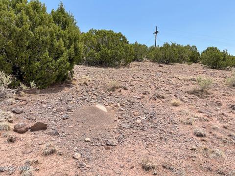 tbd Udall St, Eagar, AZ 85925 photo 2