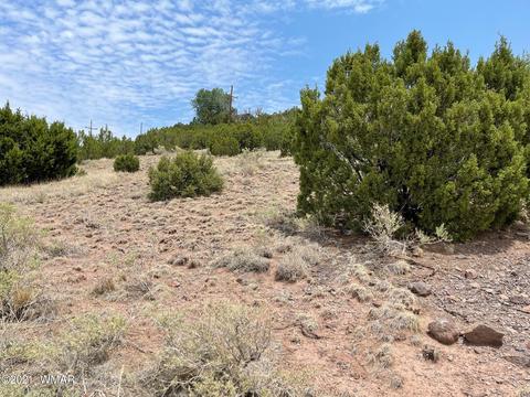 tbd Udall St, Eagar, AZ 85925