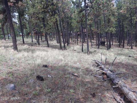 504 Apache County Road 1122, Greer, AZ 85927 photo 2
