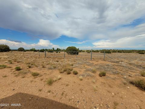 9681 E Concho Hwy, Snowflake, AZ 85937 photo 16
