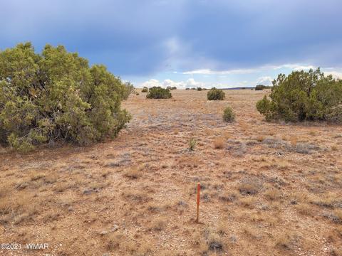 9681 E Concho Hwy, Snowflake, AZ 85937 photo 14
