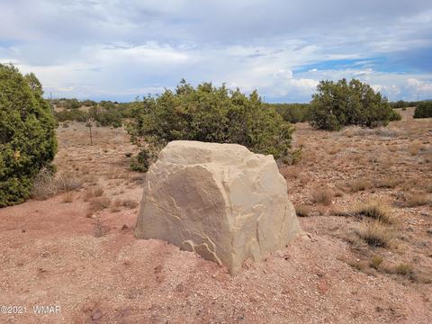 9681 E Concho Hwy, Snowflake, AZ 85937 photo 10