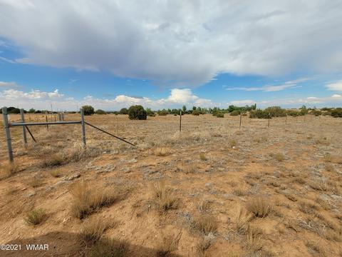 9681 E Concho Hwy, Snowflake, AZ 85937 photo 17