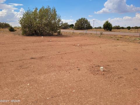 9681 E Concho Hwy, Snowflake, AZ 85937 photo 15
