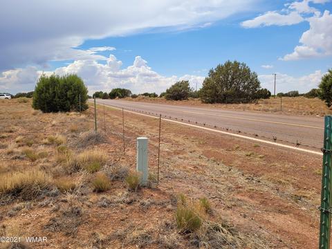 9681 E Concho Hwy, Snowflake, AZ 85937 photo 22