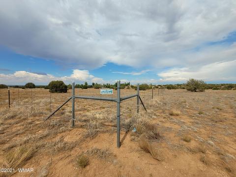 9681 E Concho Hwy, Snowflake, AZ 85937 photo 7