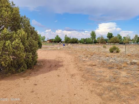 9681 E Concho Hwy, Snowflake, AZ 85937 photo 6