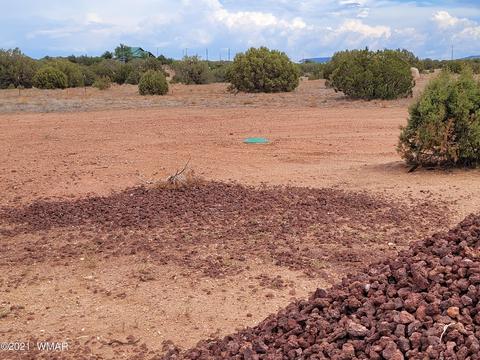 9681 E Concho Hwy, Snowflake, AZ 85937 photo 9