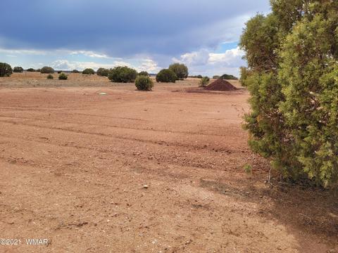 9681 E Concho Hwy, Snowflake, AZ 85937 photo 11