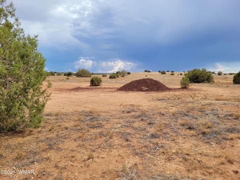 9681 E Concho Hwy, Snowflake, AZ 85937 photo 23