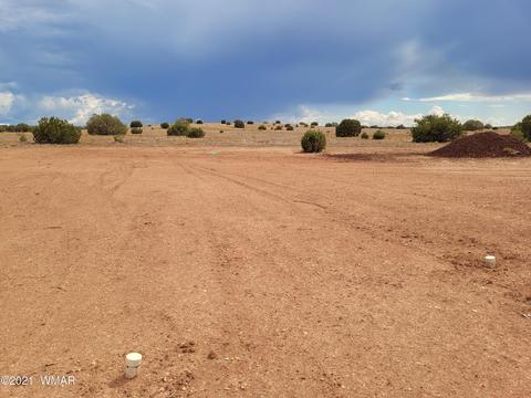 9681 E Concho Hwy, Snowflake, AZ 85937 photo 20