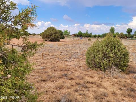 9681 E Concho Hwy, Snowflake, AZ 85937 photo 2