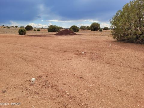 9681 E Concho Hwy, Snowflake, AZ 85937 photo 19