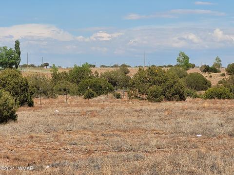 9681 E Concho Hwy, Snowflake, AZ 85937 photo 18