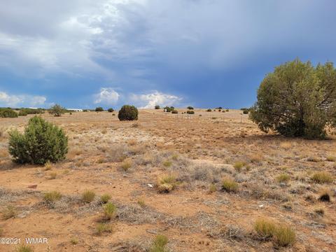 9681 E Concho Hwy, Snowflake, AZ 85937 photo 24