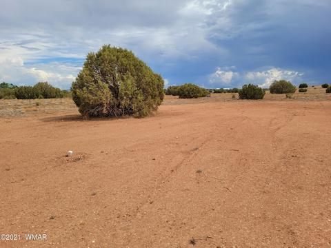 9681 E Concho Hwy, Snowflake, AZ 85937 photo 21