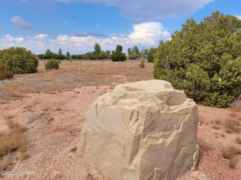 9681 E Concho Hwy, Snowflake, AZ 85937 photo 4