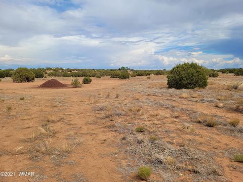 9681 E Concho Hwy, Snowflake, AZ 85937 photo 25