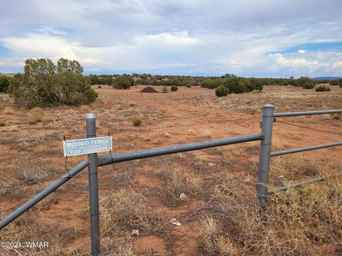 9681 E Concho Hwy, Snowflake, AZ 85937 photo 26