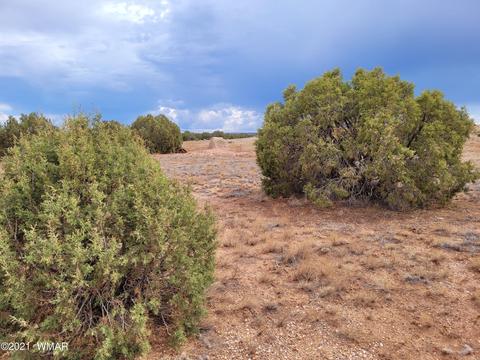 9681 E Concho Hwy, Snowflake, AZ 85937 photo 3