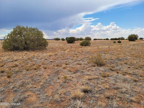 9681 E Concho Hwy, Snowflake, AZ 85937 photo 12