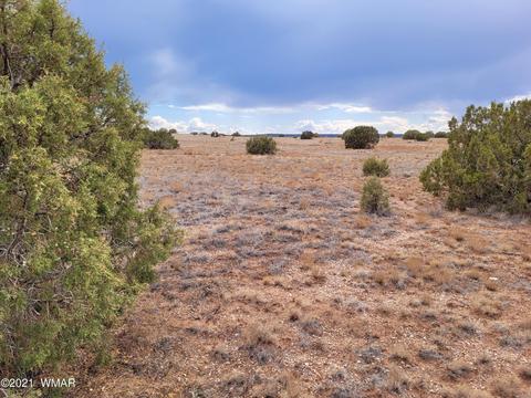9681 E Concho Hwy, Snowflake, AZ 85937 photo 13