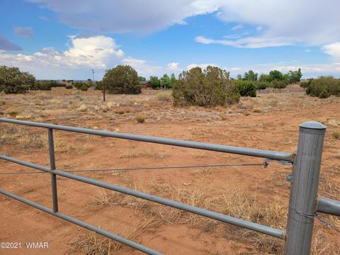 9681 E Concho Hwy, Snowflake, AZ 85937 photo 1