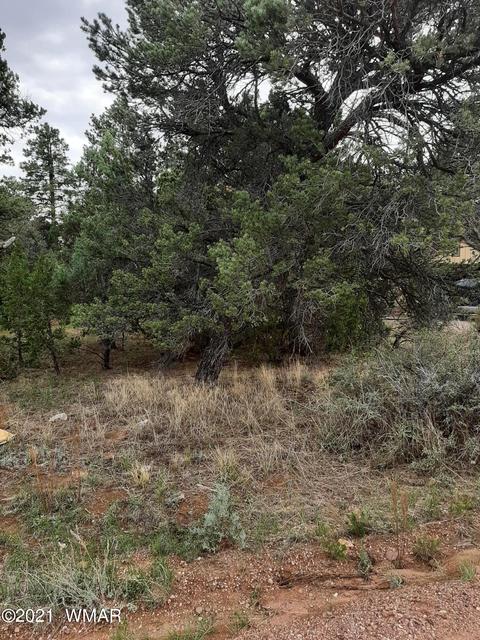 2139 Wildflower Rd, Overgaard, AZ 85933 photo 2