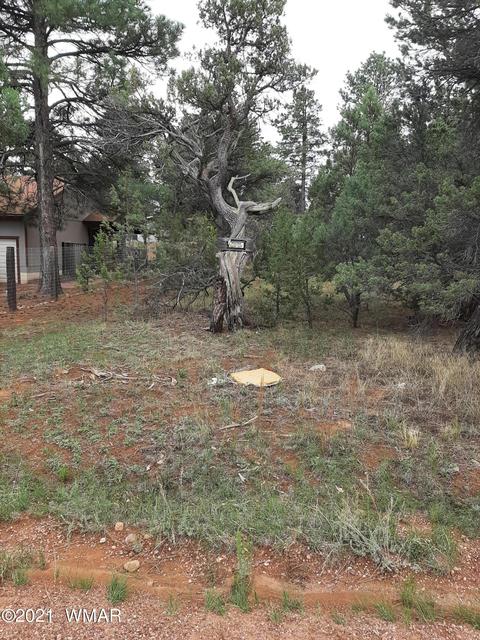 2139 Wildflower Rd, Overgaard, AZ 85933 photo 3
