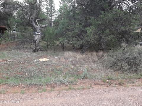 2139 Wildflower Rd, Overgaard, AZ 85933 photo 1