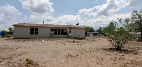 159 Aldrice Burk Dr, Springerville, AZ 85938 photo 31