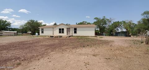 159 Aldrice Burk Dr, Springerville, AZ 85938 photo 30