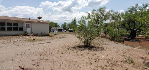 159 Aldrice Burk Dr, Springerville, AZ 85938 photo 32