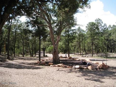 2091 Ranger Rd, Overgaard, AZ 85933 photo 58