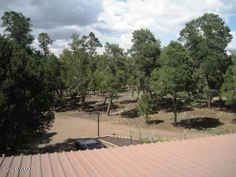 2091 Ranger Rd, Overgaard, AZ 85933 photo 36