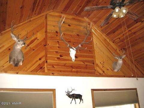 2091 Ranger Rd, Overgaard, AZ 85933 photo 25