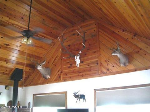 2091 Ranger Rd, Overgaard, AZ 85933 photo 24