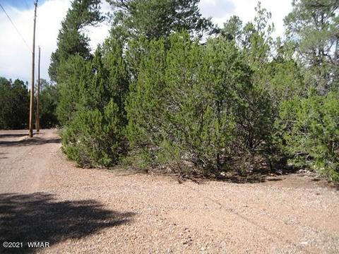 2091 Ranger Rd, Overgaard, AZ 85933 photo 65
