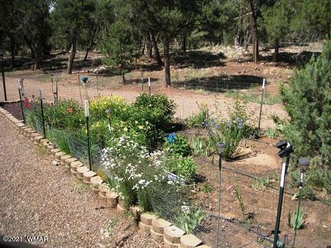 2091 Ranger Rd, Overgaard, AZ 85933 photo 40