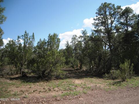 2091 Ranger Rd, Overgaard, AZ 85933 photo 66