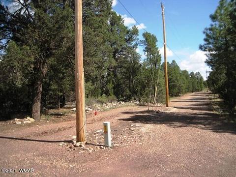 2091 Ranger Rd, Overgaard, AZ 85933 photo 64