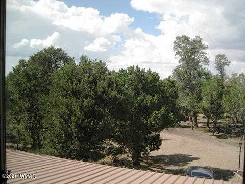 2091 Ranger Rd, Overgaard, AZ 85933 photo 37
