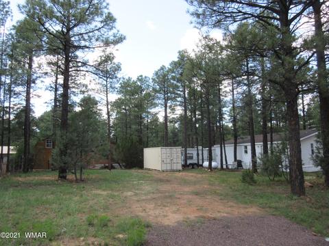 2177 S Oval Dr, Overgaard, AZ 85933 photo 33