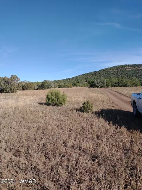 91 County Road N3319, Vernon, AZ 85940
