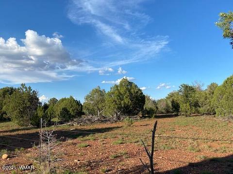 3575 North Ln, Overgaard, AZ 85933 photo 3