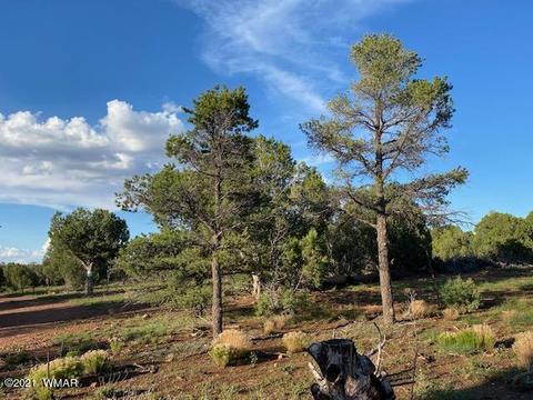 3575 North Ln, Overgaard, AZ 85933 photo 1