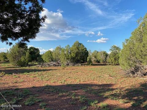 3575 North Ln, Overgaard, AZ 85933 photo 2