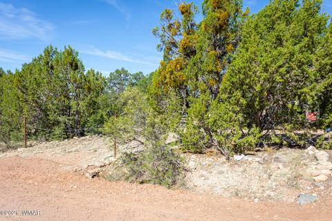 3524 Pine Rim Dr, Overgaard, AZ 85933 photo 20